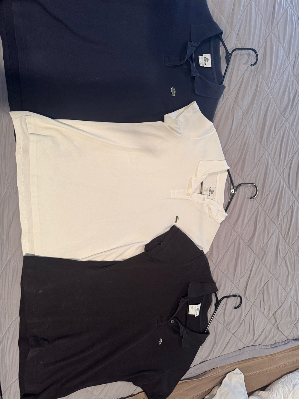 Lacoste Polo Set in Navy, White and Black